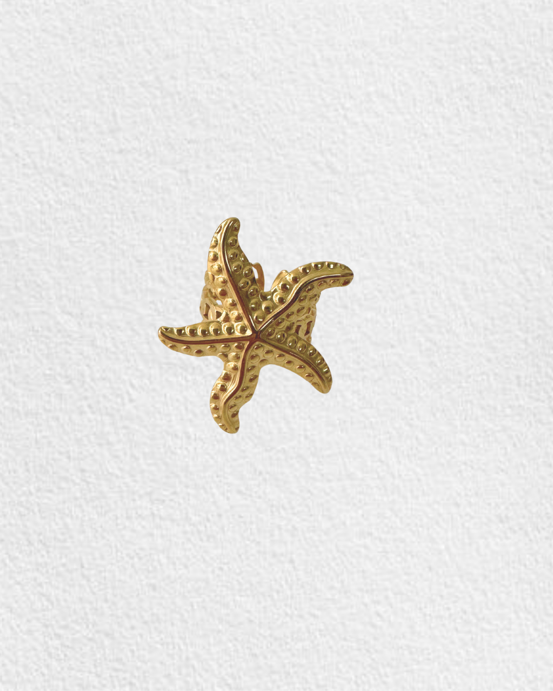 anel em aço ESTRELA MAR