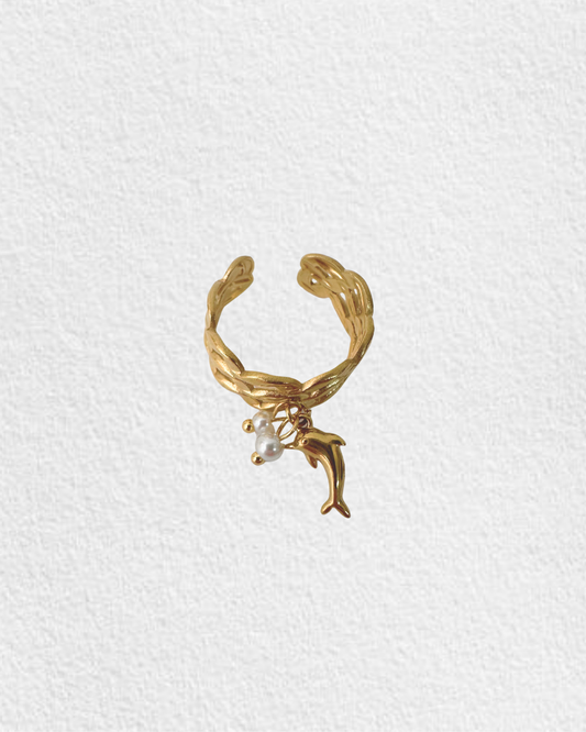 anel em aço GOLFINHO