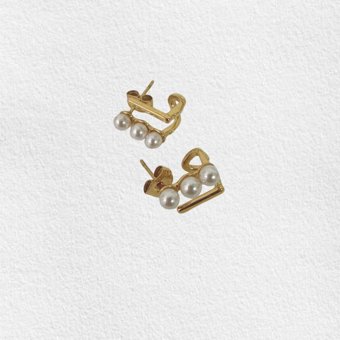 brincos em aço FERE