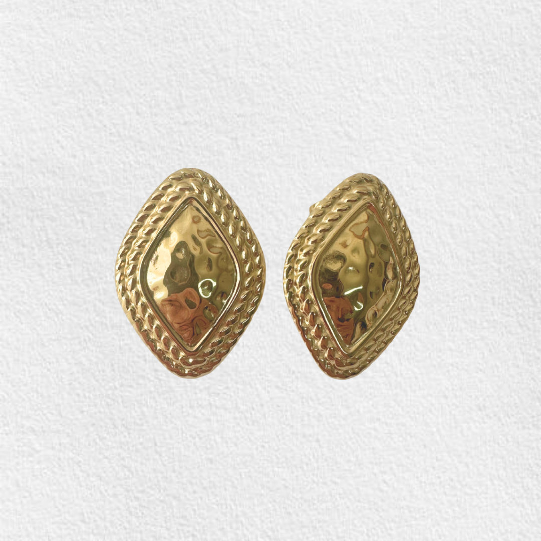 brincos em aço PAOLA