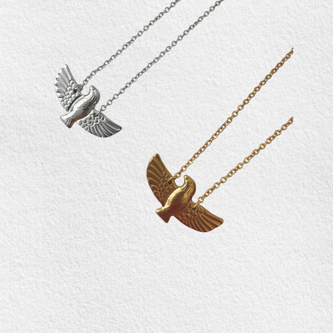 colar em aço ESPÍRITO SANTO