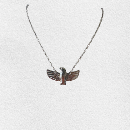 colar em aço ESPÍRITO SANTO