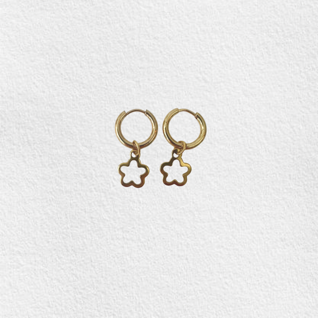 argolas em aço HANNE